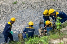 Cá chết trắng trên dòng kênh đen ngòm ở Đà Nẵng