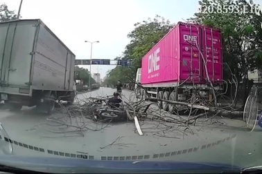 "Bắt quả tang" cây khô bật gốc hạ gục người đi xe máy