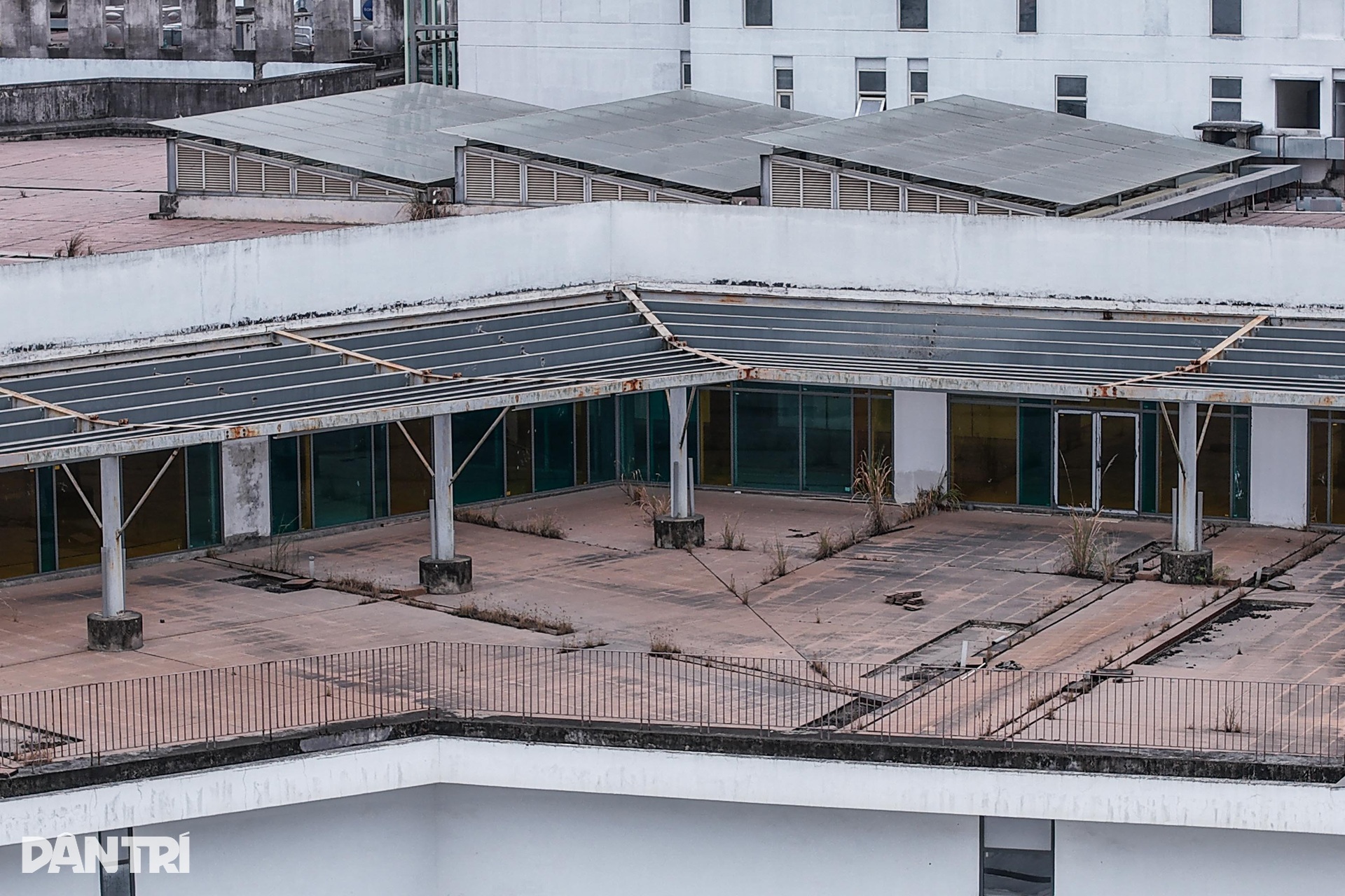 Bệnh viện Việt Đức, Bạch Mai cơ sở 2 cỏ mọc um tùm, cao quá đầu người - 13 Bệnh viện Việt Đức, Bạch Mai cơ sở 2 cỏ mọc um tùm, cao quá đầu người - 13
