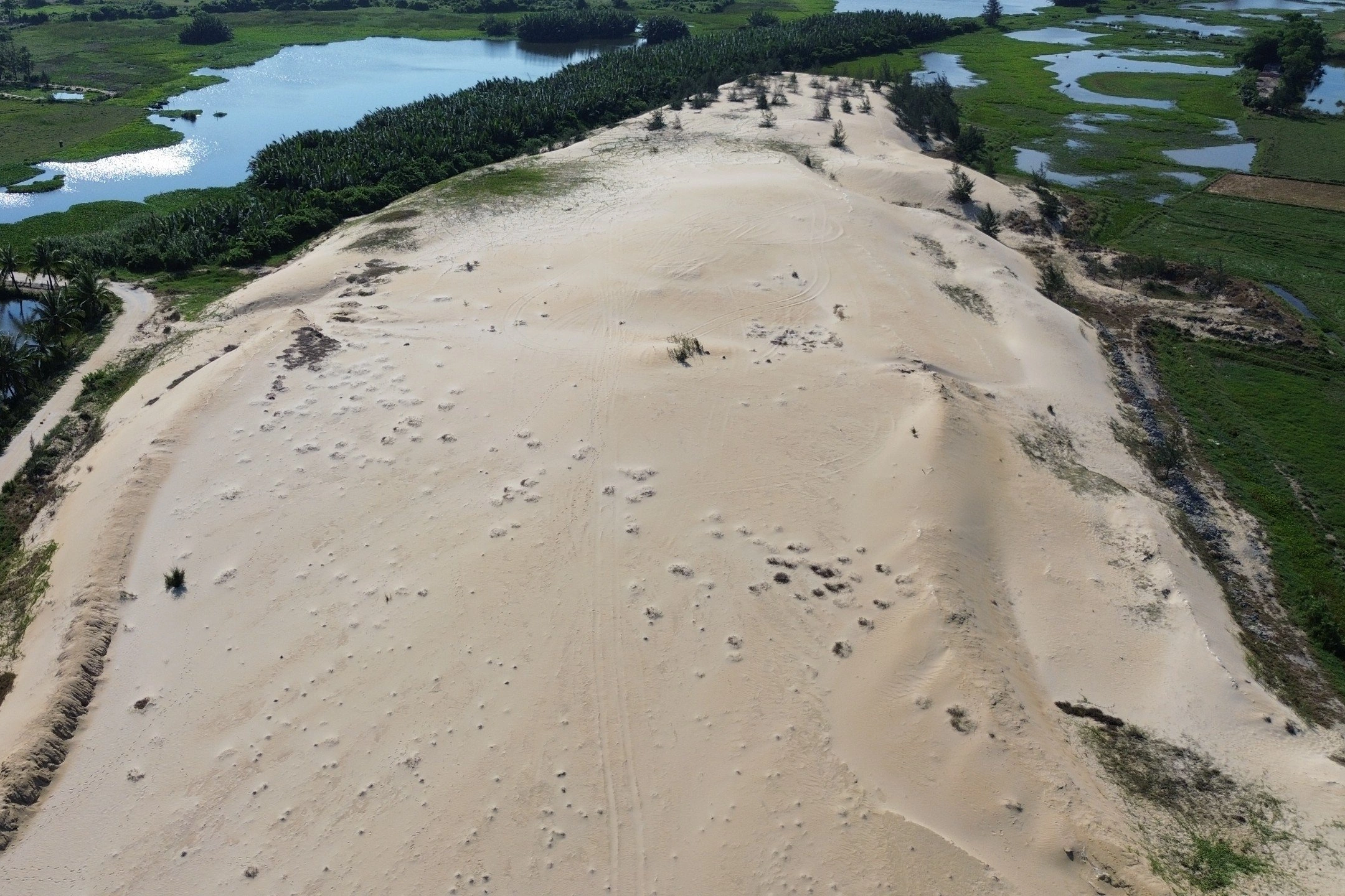 Gần 1,4 triệu m3 cát nạo vét từ sông Cổ Cò ế chỏng chơ - 1