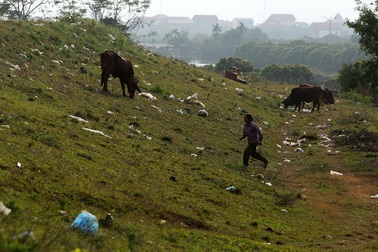 Báo động tình trạng ngập rác thải nhựa tại đê Hữu Hồng