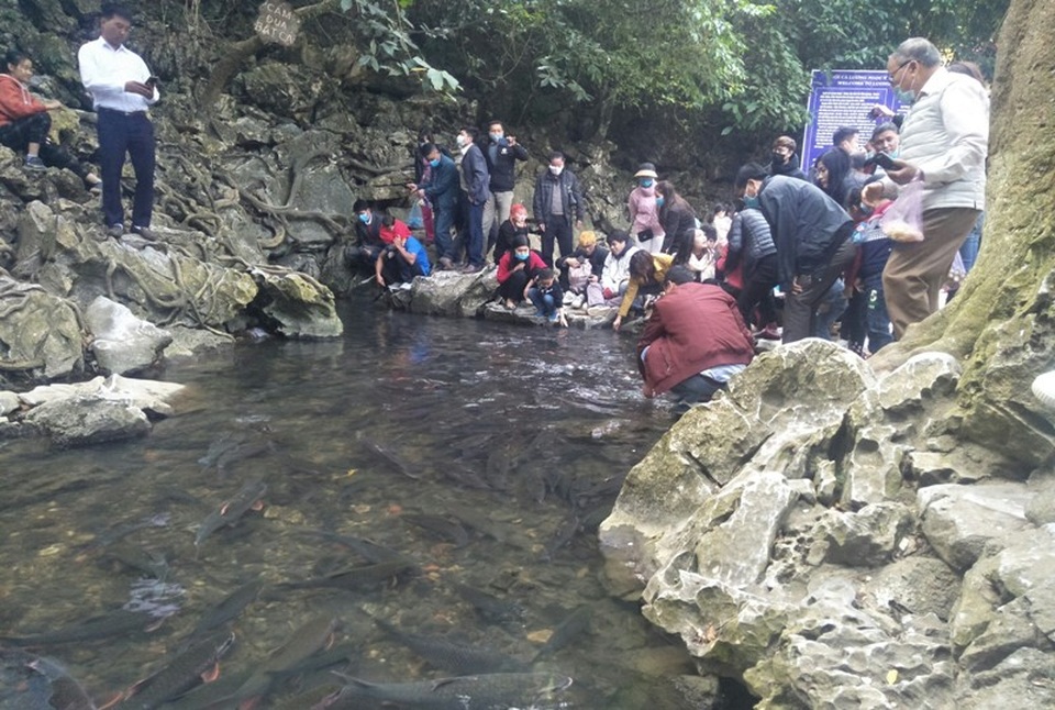Hàng nghìn du khách chen chân đổ về suối cá thần cầu may dịp đầu năm mới - 4