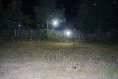 Đi chăn bò, phát hiện thi thể phụ nữ đã phân hủy