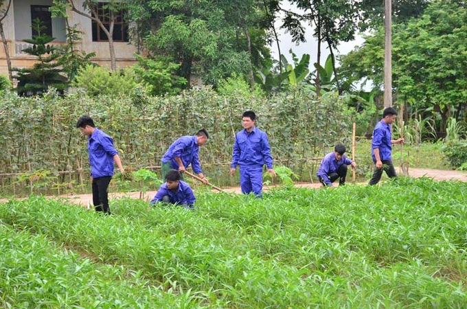 Trồng cây xanh tại Cơ sở cai nghiện ma tuý tỉnh Quảng Bình