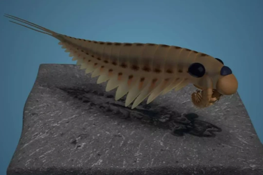 Hóa thạch 500 triệu năm tuổi lưu giữ bộ não của kẻ săn mồi 3 mắt đáng sợ