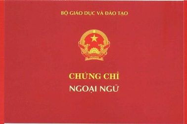Bắt Giám đốc cung cấp hàng trăm chứng chỉ ngoại ngữ giả
