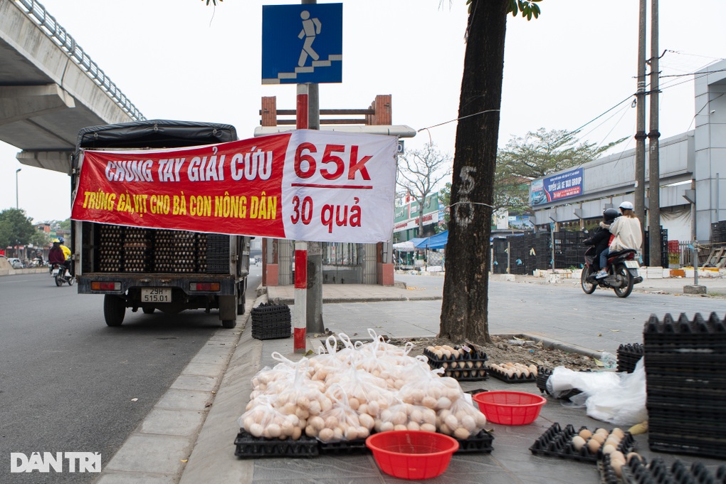 Giải cứu trứng 2.000 đồng/quả chỉ là chiêu trò kinh doanh chụp giật - 1 Giải cứu trứng 2.000 đồng/quả chỉ là chiêu trò kinh doanh chụp giật - 1