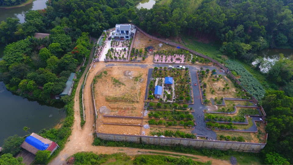Chiêm ngưỡng nhà vườn toàn siêu cây bạc tỷ của ông vua cây cảnh - 1 Chiêm ngưỡng nhà vườn toàn siêu cây bạc tỷ của ông vua cây cảnh - 1