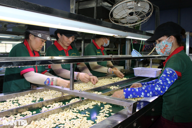 Tỉnh bị nhắc nhở chậm giải ngân đã chi trả 100% tiền hỗ trợ thuê nhà