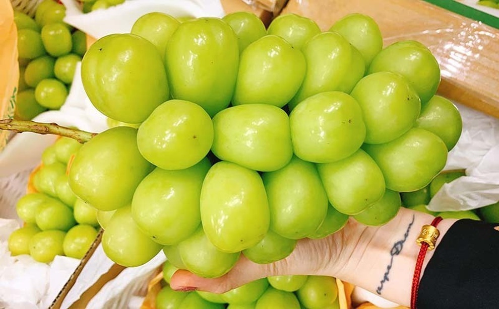 Nho Nhật Bản siêu đắt đỏ: Ăn đủ combo mất 20 triệu đồng - 5 Nho Nhật Bản siêu đắt đỏ: Ăn đủ combo mất 20 triệu đồng - 5