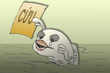 Khi con cá bị câu ngay khi vừa thả xuống