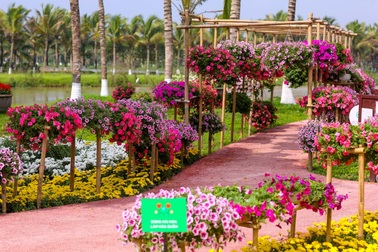 Người Hà Nội đổ xô đến Ecopark ngắm thiên nga, chèo thuyền Kayak