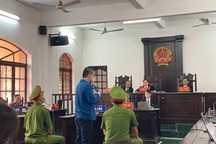 Tài xế tông nữ tiếp viên hàng không bị đề nghị mức án 7 năm tù