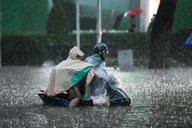 Chẳng cha mẹ nào muốn ép con mình học nhiều cả!