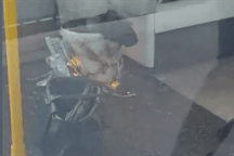 Nổ bom tự chế trên tàu điện ngầm ở London, nghi ngờ có liên quan đến khủng bố