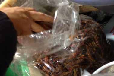 Rùng mình ớt khô nhiễm nấm độc gây ung thư