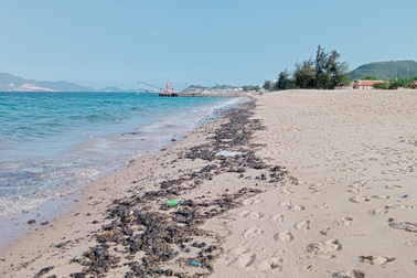 Dầu vón cục xuất hiện đen kịt ở bãi biển Nha Trang