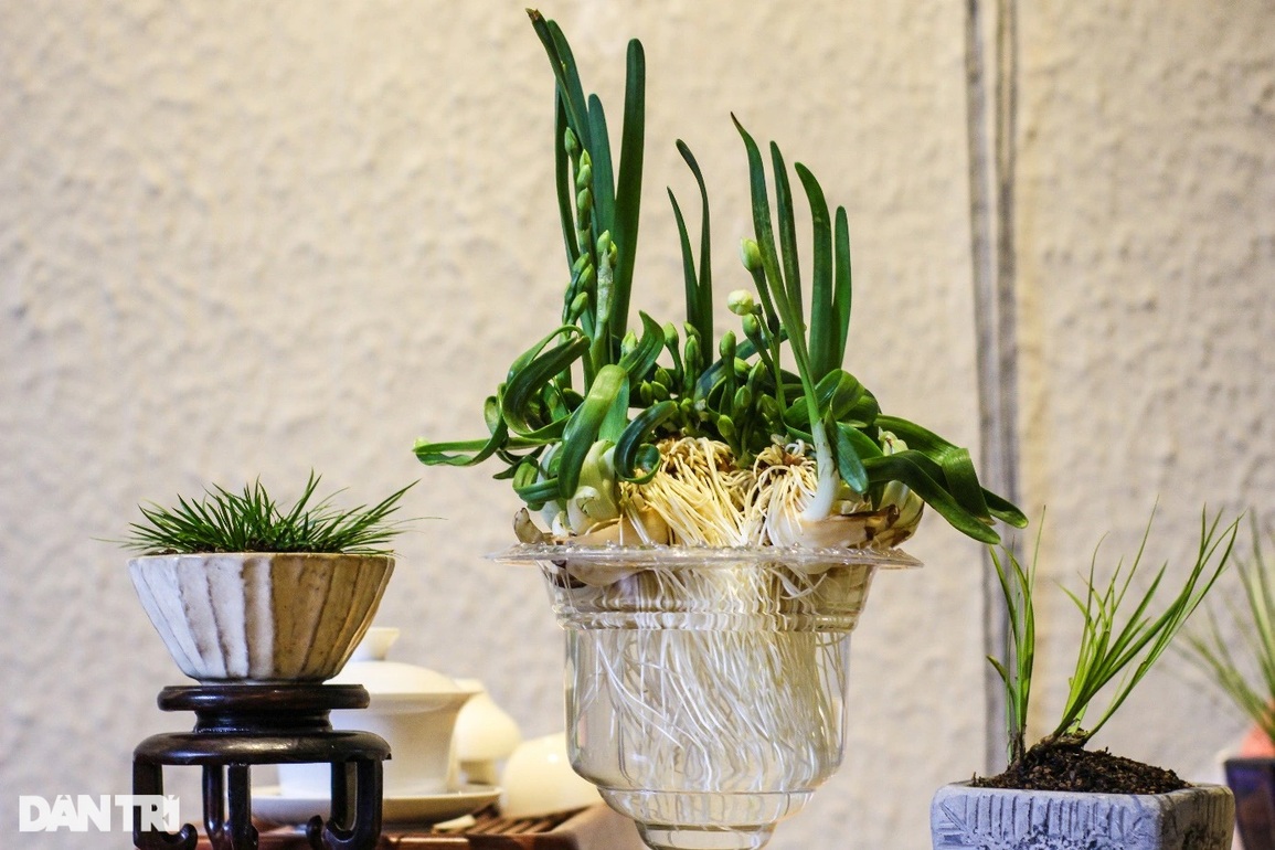 Chi tiền triệu khám phá thú chơi đĩa ngọc, chén vàng dịp Tết ở Hà Nội - 6 Chi tiền triệu khám phá thú chơi đĩa ngọc, chén vàng dịp Tết ở Hà Nội - 6