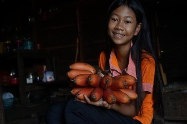 Từ chuyện cơn sốt chuối đỏ siêu lạ 600.000 đồng/kg