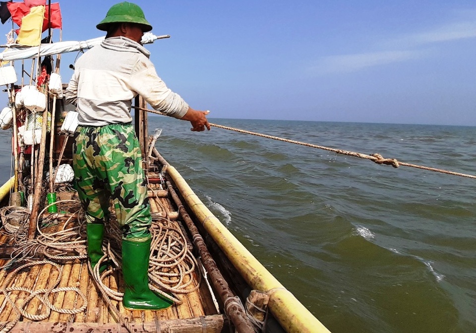 Ngư dân xứ Thanh trúng đậm lộc biển những ngày cuối năm - 6 Ngư dân xứ Thanh trúng đậm lộc biển những ngày cuối năm - 6