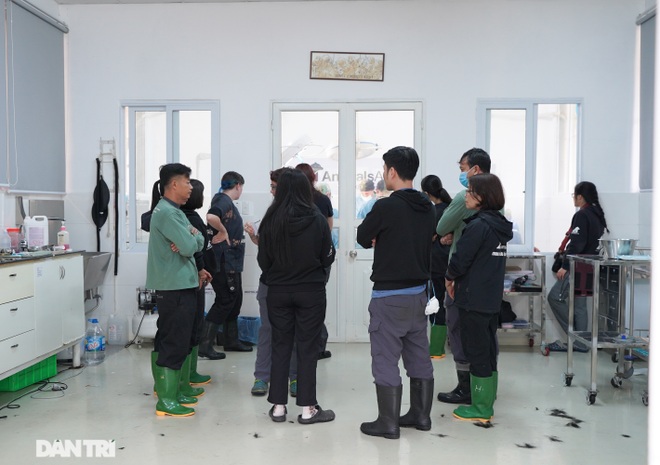 Những bóng hồng thầm lặng ít người biết ở thung lũng gấu Chắt Dậu - 8 Những bóng hồng thầm lặng ít người biết ở thung lũng gấu Chắt Dậu - 8