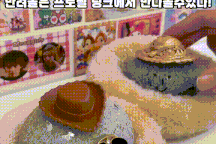 Giới trẻ Hàn Quốc nuôi "đá thú cưng" vì quá cô đơn, kiệt sức