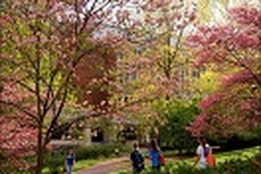 “Đại học Ohio - Cơ hội nhận học bổng trị giá 1,1 tỷ VNĐ”