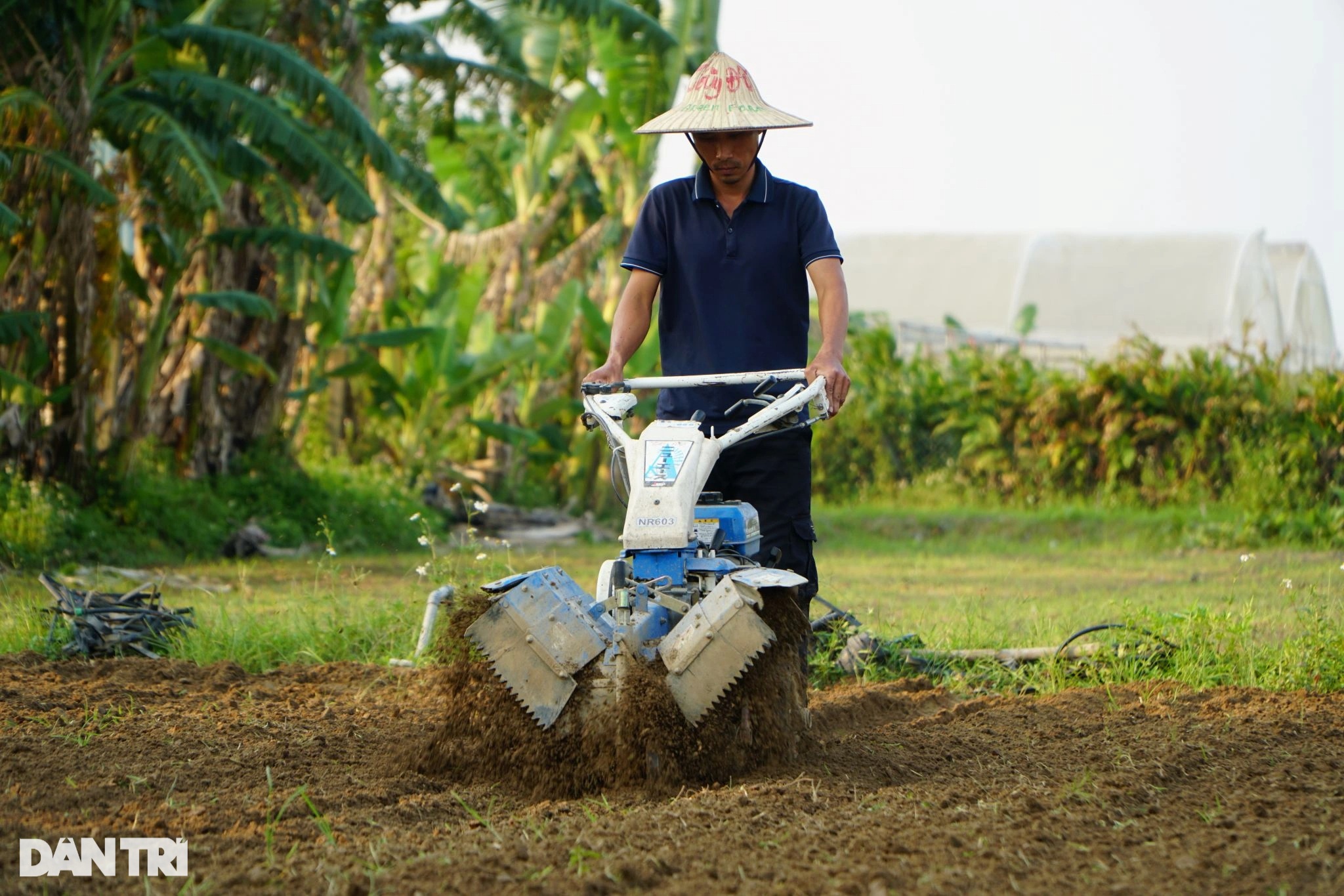 Cặp vợ chồng suýt  bị bố mẹ từ mặt vì bỏ phố về quê làm nông nghiệp sạch