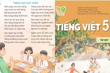"Bài thơ Tiếng hạt nảy mầm xứng đáng đưa vào sách giáo khoa"