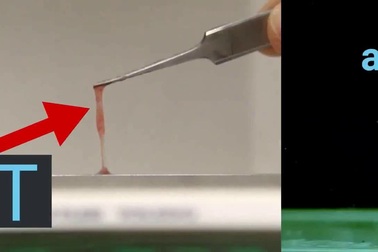 Hình ảnh quay chậm tiết lộ cách bắt mồi độc đáo của ếch