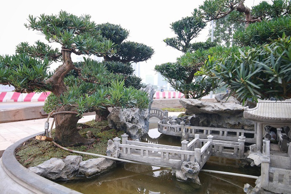 Chiêm ngưỡng tác phẩm Đồi tùng La Hán độc nhất vô nhị giá 350 triệu đồng - 7 Chiêm ngưỡng tác phẩm Đồi tùng La Hán độc nhất vô nhị giá 350 triệu đồng - 7