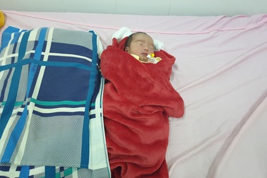 Bé gái bị bỏ rơi ở hoa viên đã được bàn giao cho mẹ đẻ