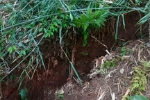 Xuất hiện vết nứt lớn trên núi, đe dọa sạt lở xuống quốc lộ 7