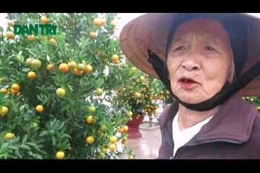 Người trồng quất ở Cẩm Hà, Hội An phấn khởi chia sẻ quất năm nay được giá hơn các năm trước