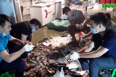 Phát hiện 90 kg ma túy giấu trong 900 dạ dày lợn được ép chân không