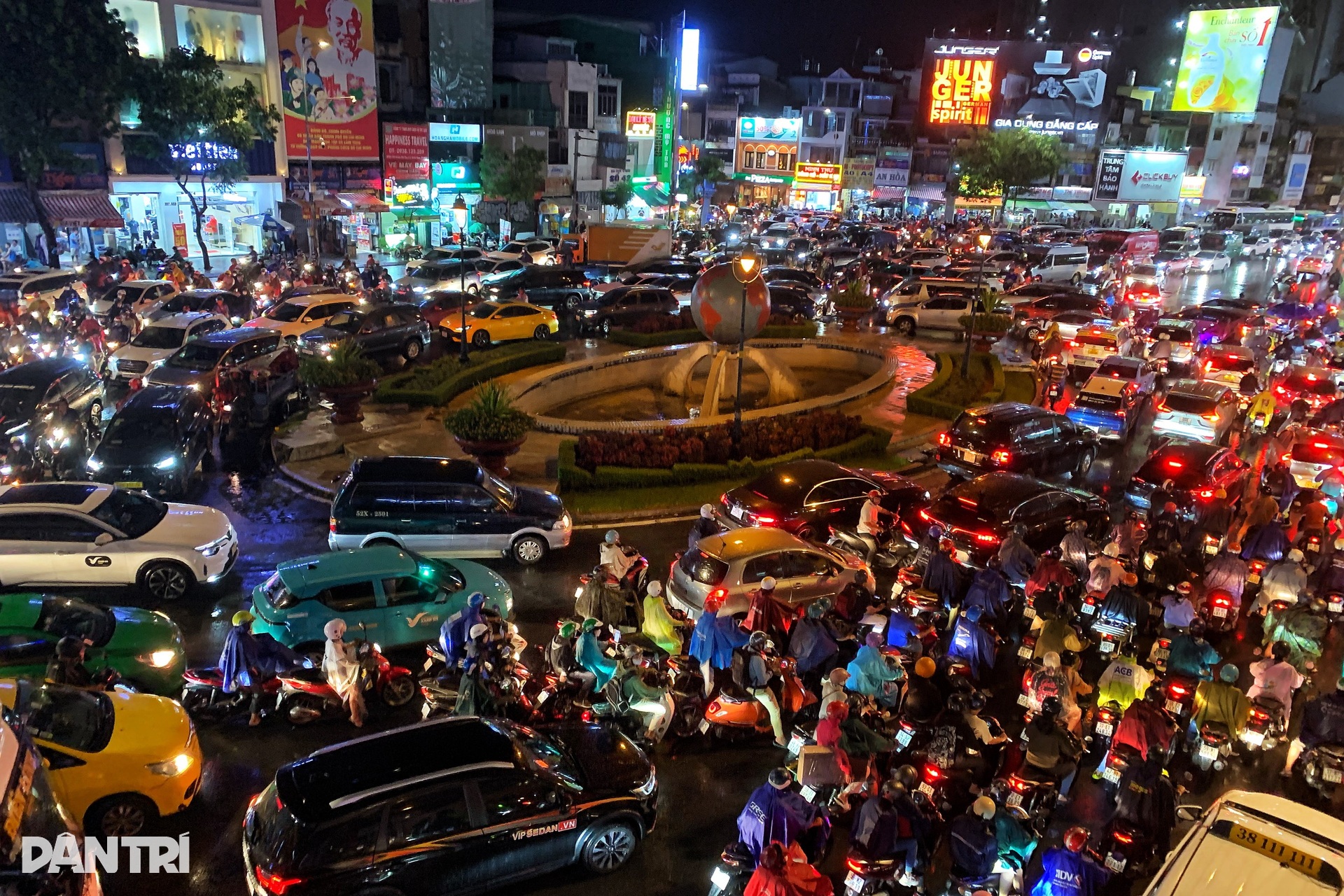 Cây bồ đề hàng chục năm tuổi bật gốc ở cửa ngõ sân bay Tân Sơn Nhất - 7 Cây bồ đề hàng chục năm tuổi bật gốc ở cửa ngõ sân bay Tân Sơn Nhất - 7