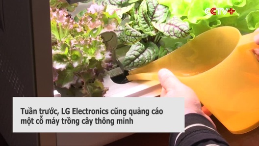 Tủ lạnh trồng rau mini thông minh đắt khách  mùa dịch Covid-19