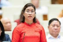 Cử tri rất quan tâm những vụ việc liên quan Việt Á, AIC