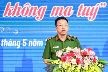 Tổng rà soát, quản lý chặt chẽ các đối tượng loạn thần, ngáo đá ở Hà Nội