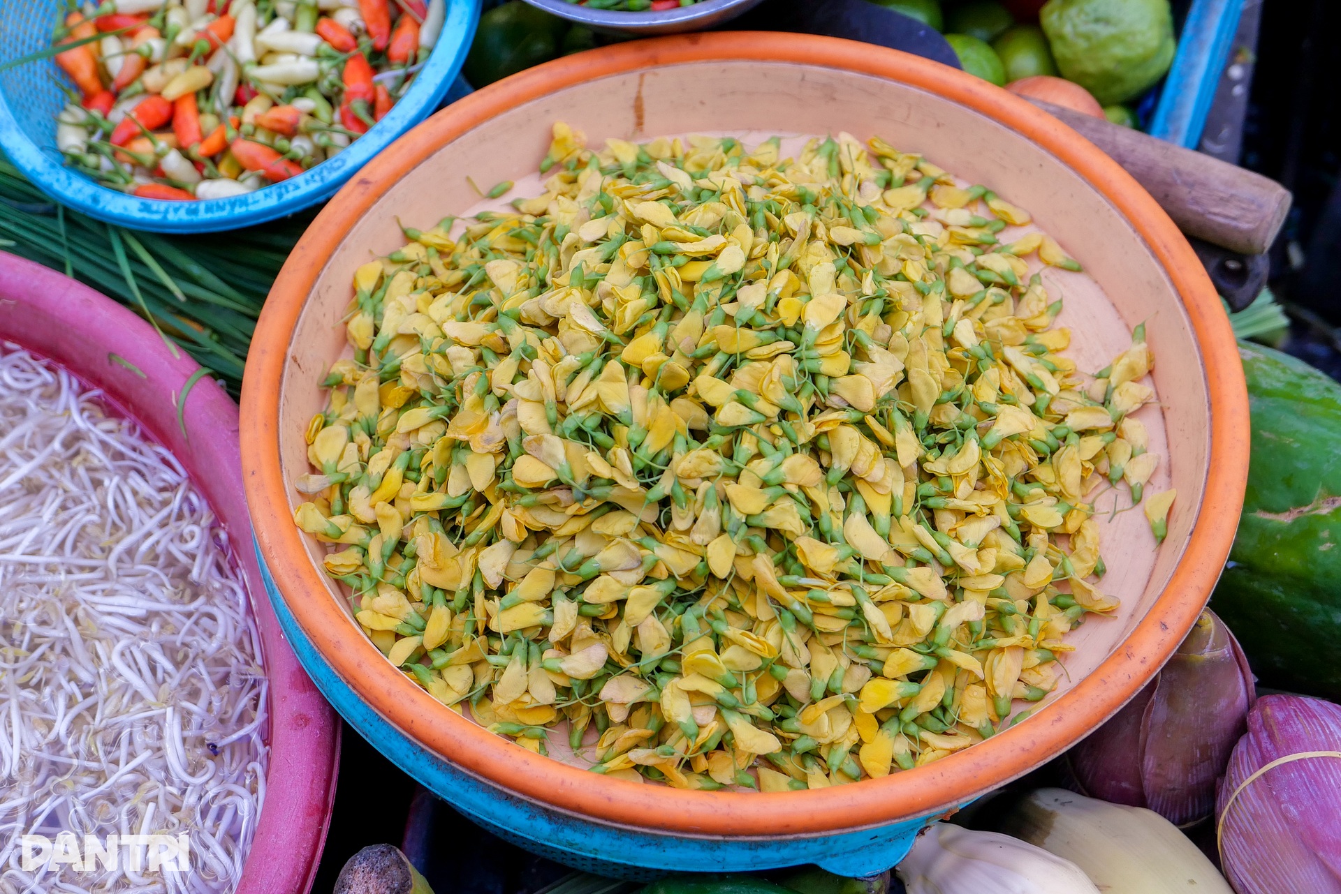 Khu chợ được ví như vương quốc mắm, bán đặc sản mùa nước nổi rẻ bèo - 10 Khu chợ được ví như vương quốc mắm, bán đặc sản mùa nước nổi rẻ bèo - 10