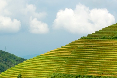 Sắc thu vàng quyến rũ trên vùng cao Tây Bắc