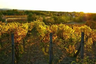 Khám phá đất nước Hungary