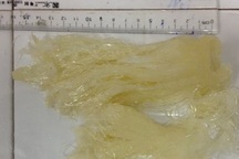 Nhà giàu chi tiền triệu để ăn món tẩm bổ giả