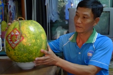 “Trái dưa hấu để 9 tháng không thối là chuyện... bình thường”