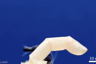 Robot ngày càng giống người, có thể làm được điều đáng kinh ngạc này