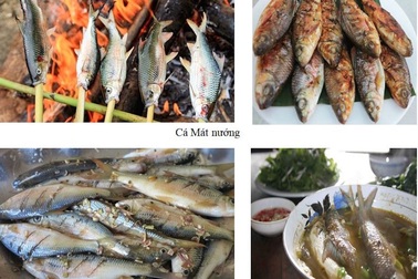 Loài cá suối lớn chỉ bằng 3 ngón tay, đặc sản của miền Tây xứ Nghệ