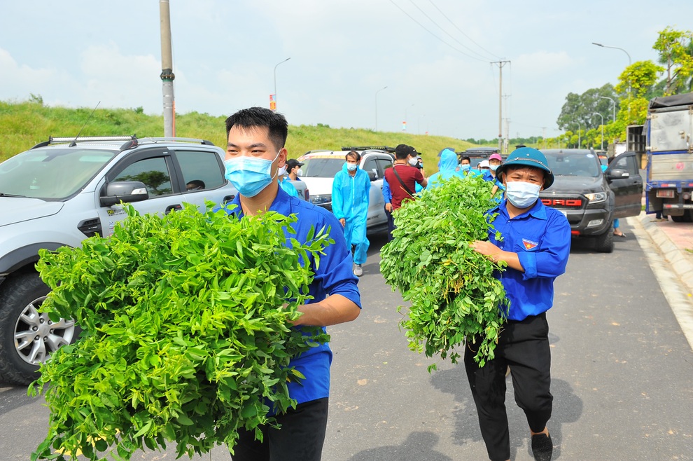 Tuổi trẻ Bắc Giang gửi tặng rau xanh, nhu yếu phẩm tới nhân dân Hà Nội - 3 Tuổi trẻ Bắc Giang gửi tặng rau xanh, nhu yếu phẩm tới nhân dân Hà Nội - 3