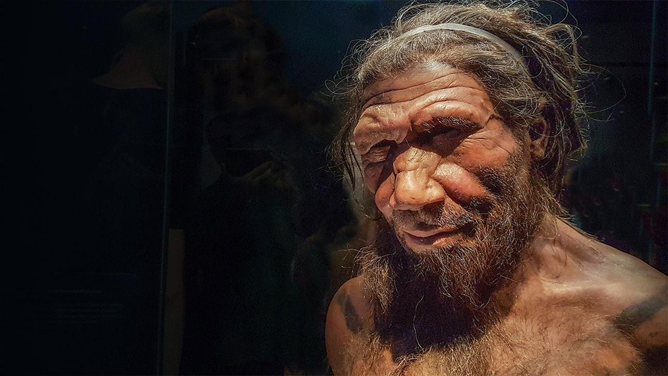 Siêu máy tính tìm ra nguyên nhân tuyệt chủng của người Neanderthal - 1 Siêu máy tính tìm ra nguyên nhân tuyệt chủng của người Neanderthal - 1