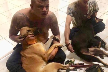 Nhóm trộm chó xịt hơi cay vào mặt người truy đuổi