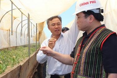 Phó Thủ tướng chỉ đạo hướng phát triển cây mắc ca
